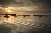115 / 134 / DSC_5056