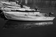 119 / 134 / DSC_5063
