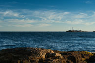 46 / 134 / DSC_5296