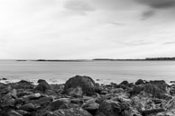 129 / 134 / DSC_5521